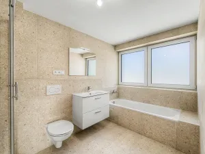 Prodej rodinného domu, Nové Strašecí - Pecínov, Pecínovská, 102 m2
