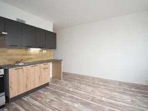 Pronájem bytu 1+1, Chomutov, Dřínovská, 35 m2