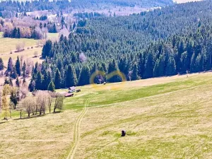 Prodej bytu 3+kk, Nové Hutě, 55 m2