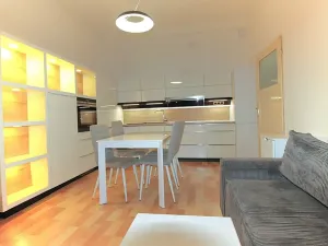 Prodej bytu 2+kk, Praha - Holešovice, Veverkova, 50 m2