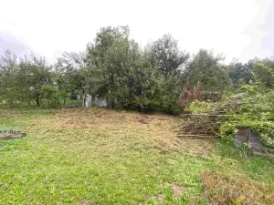 Dražba louky, Lužnice, 608 m2