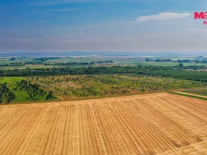 Prodej pole, Rakvice, 21280 m2