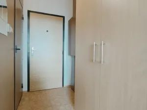 Pronájem bytu 1+1, Janov, 37 m2