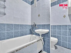 Prodej bytu 1+1, Pardubice - Zelené Předměstí, Žitná, 40 m2