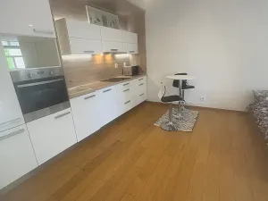 Pronájem bytu 1+kk, Praha - Břevnov, Nad Závěrkou, 35 m2