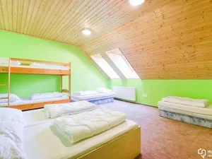Prodej ubytování, Čenkovice, 1271 m2