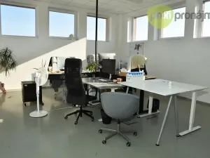 Pronájem obchodního prostoru, Ostrava, Cihelní, 701 m2