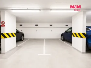 Prodej bytu 2+kk, Praha - Nusle, Lumírova, 70 m2