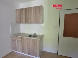 Prodej bytu 1+kk, Rožnov pod Radhoštěm, Lesní, 16 m2