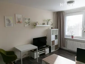 Pronájem bytu 1+kk, Zlín, U Trojáku, 27 m2