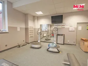 Pronájem obchodního prostoru, Rožnov pod Radhoštěm, Meziříčská, 320 m2