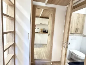 Pronájem bytu 1+kk, Opava - Předměstí, Alšova, 15 m2