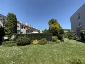 Pronájem bytu 1+kk, Opava - Předměstí, Alšova, 15 m2