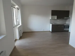 Pronájem bytu 2+kk, Olomouc, Andělská, 56 m2