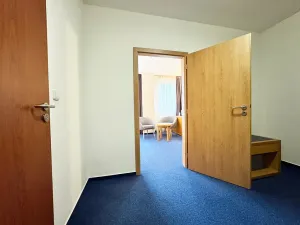 Prodej bytu 1+kk, Frymburk, 30 m2