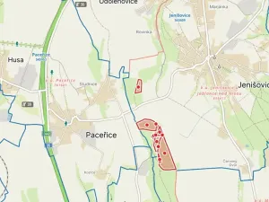 Prodej lesa, Jenišovice, 108509 m2