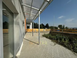 Prodej bytu 2+kk, Teplice, Albrechtova, 73 m2