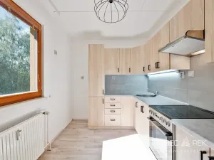 Prodej bytu 3+1, Jindřichův Hradec, 67 m2