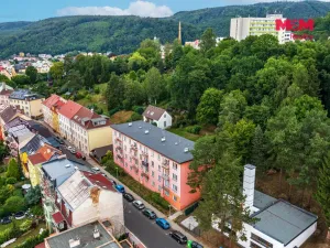 Prodej bytu 2+1, Děčín - Děčín II-Nové Město, Riegrova, 49 m2