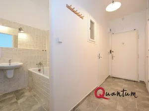 Pronájem bytu 1+kk, Praha - Žižkov, Baranova, 29 m2