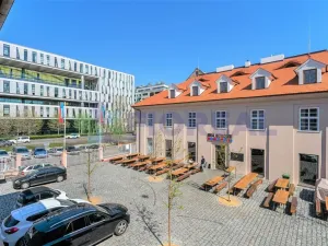 Pronájem kanceláře, Praha - Karlín, Sokolovská, 18 m2