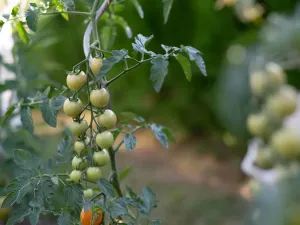 Prodej rodinného domu, Vysoké Veselí, Na Vinici, 112 m2