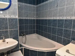 Pronájem bytu 1+1, Jirkov, Hornická, 35 m2