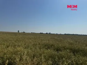 Prodej pole, Město Albrechtice, 224621 m2