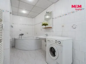 Prodej bytu 2+1, Praha - Žižkov, Baranova, 89 m2
