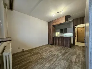 Pronájem bytu 1+kk, Brno, Opálkova, 28 m2