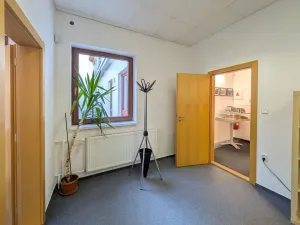 Prodej vícegeneračního domu, Brno, Hlinky, 1140 m2