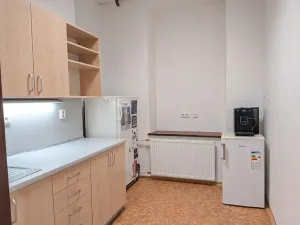 Prodej vícegeneračního domu, Brno, Hlinky, 1140 m2
