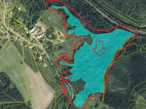 Prodej podílu lesa, Železný Brod, 11060 m2