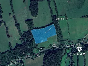 Prodej podílu lesa, Skorošice, 5773 m2