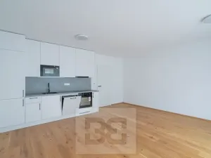 Pronájem bytu 1+kk, Praha - Košíře, Starokošířská, 43 m2