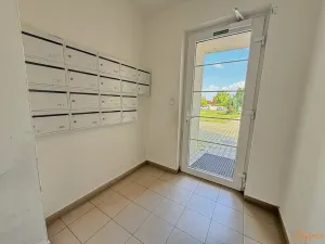 Pronájem bytu 2+kk, Holubice, 67 m2