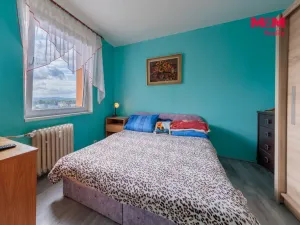 Prodej bytu 2+1, Chodov, Smetanova, 58 m2