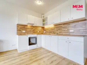 Pronájem bytu 1+kk, Plasy, U Václava, 38 m2