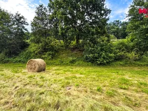 Prodej louky, Starý Šachov, 2065 m2