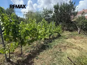 Prodej rodinného domu, Týnec, Školní, 117 m2