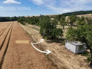 Prodej sadu/vinice, Troubky-Zdislavice, 19632 m2