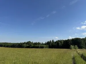 Prodej lesa, Jestřebí, 24490 m2