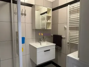 Pronájem bytu 3+kk, Praha - Záběhlice, Jesenická, 73 m2