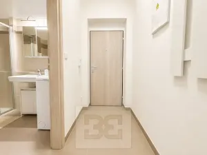 Pronájem bytu 1+kk, Brno, Vranovská, 26 m2