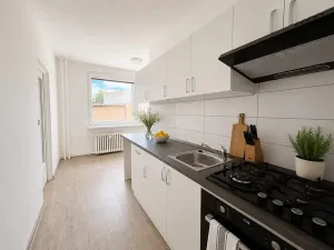 Pronájem bytu 3+1, Litvínov, Rooseveltova, 64 m2