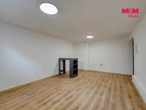 Prodej bytu 1+kk, Plzeň - Východní Předměstí, Ořechová, 26 m2