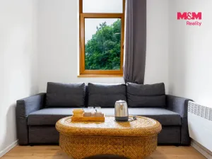Prodej bytu 1+kk, Horní Lhota, 20 m2