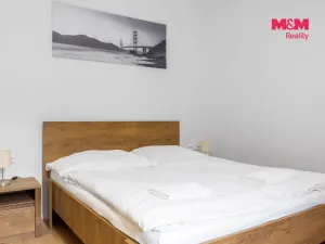 Prodej bytu 1+kk, Horní Lhota, 18 m2