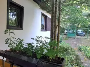 Prodej chaty, Poříčí nad Sázavou, Vrabčí brod, 50 m2