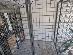 Pronájem rodinného domu, Jihlava, Okrajová, 170 m2